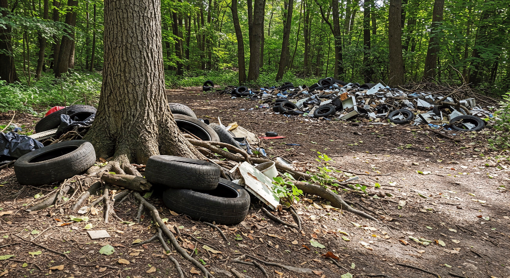 Illustration actualité