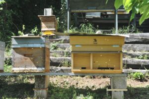 Illustration actualité