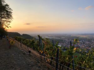 Illustration actualité